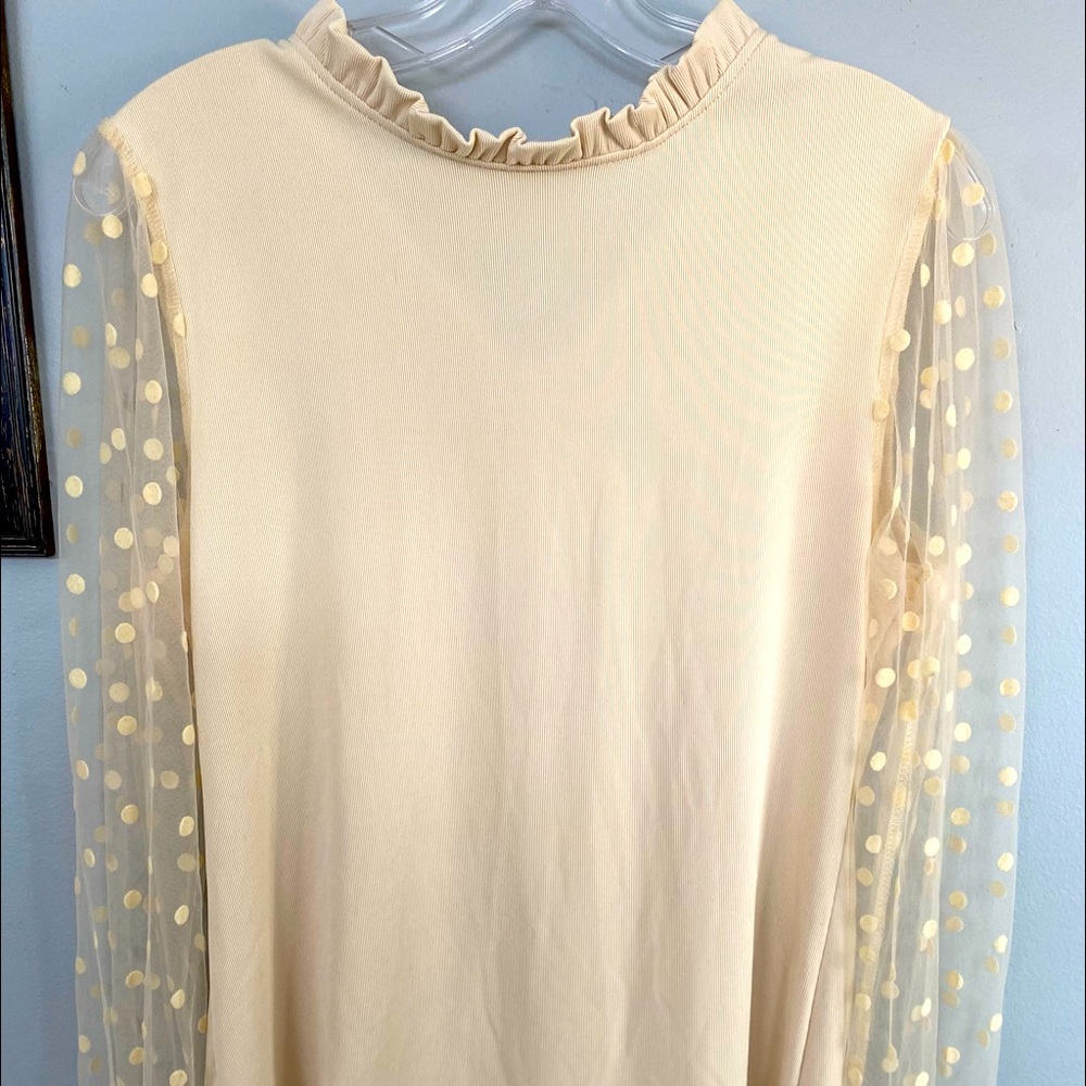 Cream Blouse with sheer polkadot sleeves